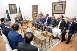 Newly elected members of National Assembly meet with Prime Minister Muhammad Shehbaz Sharif.