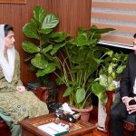 First Lady Bibi Aseefa Bhutto Zardari meeting Dublin City Councilor, Ammar Ali