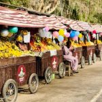 CM Maryam Nawaz’s promise fulfilled as Model Cart Market 'setup in Layyah