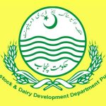 Livestock dept launches genetic upgradation drive to boost milk,  meat production in indigenous cows