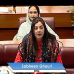 25 IT parks in 20 cities, Islamabad IT Park nears completion:  Sabeen Ghauri