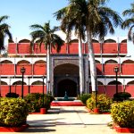 World animal day marked at University of Sindh