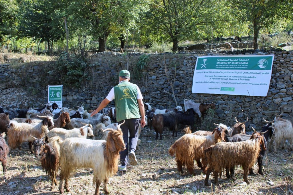 KSrelief completes first phase of livestock-based economic empowerment project in Pakistan