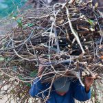 From floods to freezing nights: Malakand residents turn to firewood for survival