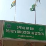 Liver fluke threatens livestock health in flood-hit areas