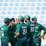 Shaheens bag comfortable win over UAE