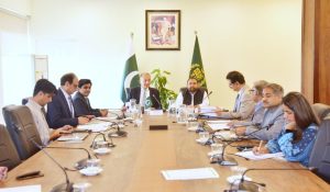 Govt sets course for film industry revival, says Musadik Malik