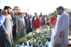 Olive Festival highlights Pakistan’s growing agri-potential, sustainable future