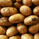 Pakistan surpasses national potato production target by 44.7%