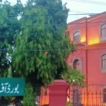 Punjab bans oral land transfer