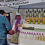 Pakistan registers 144 olive startups as industry expands
