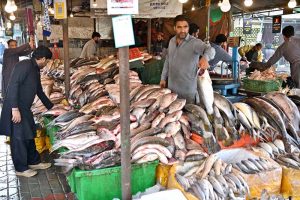 A vendor displaying fish to attract the customers at H-9 Weekly Bazaar in Federal Capital.