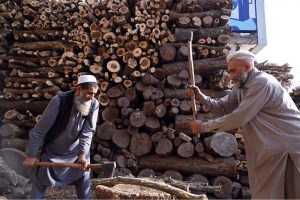 Elderly workers cut wood into pieces at their workplace in the Federal Capital, preparing it for sale.