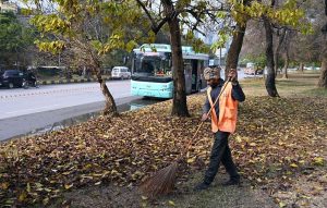 CDA worker is busy cleaning fallen tree leaves from the greenbelt after rainfall in the Federal Capital.