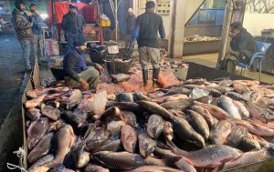 Vendors display fish to attract customers at the Guwalmandi Fish Market.