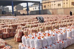 Stacks of bags full of tomatoes line the open courtyard of the wholesale market as workers sort and prepare the best quality produce for trading.