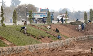 CDA workers plant fresh grass along the roadside as part of beautification efforts at Faizabad in federal capital.