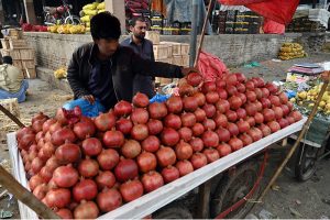 Labourers busy arranging cauliflower after unloading it from a delivery truck at the Vegetable Market in the Federal Capital.