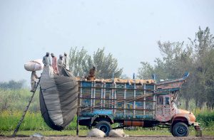 Labourers loading chaff (husk from wheat) from a delivery truck.