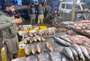Vendors display fish to attract customers at the Guwalmandi Fish Market.
