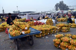 Labourers busy arranging cauliflower after unloading it from a delivery truck at the Vegetable Market in the Federal Capital.
