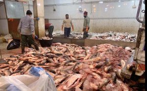 Vendors display fish to attract customers at the Guwalmandi Fish Market.