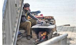 A vendor roasts corn cobs at his roadside stall near Zero Point in the Federal Capital.