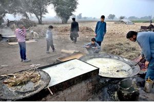 A worker preparing jaggery "Gurr" from sugarcane juice at his roadside stall, preserving a cherished traditional wintertime practice.
