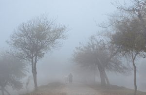 A view of dense fog in the early morning hours in the city