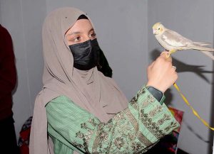 Students participate in a painting competition during the Art Gala exhibition at the Expo Centre, University of Agriculture Faisalabad.