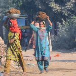 Women on the way while carrying cow dung for preparing the dung cakes for domestic fire use at Latifabad.