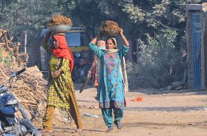 Women on the way while carrying cow dung for preparing the dung cakes for domestic fire use at Latifabad.