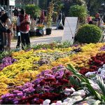 Visitors explore and capture moments at the two-day Chrysanthemum Winter Festival 2025 organized by the CDA at Gardenia Hub