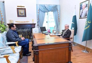 Minister for Defence Productions Raza Hayat Hiraj calls on Prime Minister Muhammad Shehbaz Sharif.