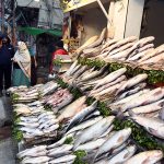 A vendor displaying fish to attract the customers at Banni road.