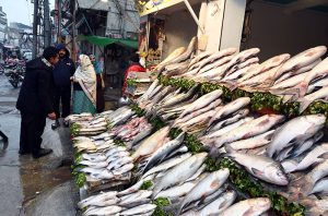 A vendor displaying fish to attract the customers at Banni road.