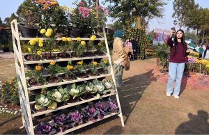 Visitors explore and capture moments at the two-day Chrysanthemum Winter Festival 2025 organized by the CDA at Gardenia Hub