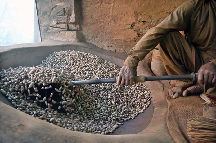 A worker busy roasting peanuts at his workplace in a local market