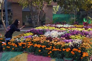Visitors explore and capture moments at the two-day Chrysanthemum Winter Festival 2025 organized by the CDA at Gardenia Hub