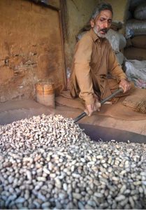 A worker busy roasting peanuts at his workplace in a local market