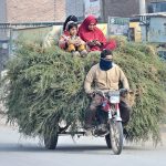A woman uses her mobile phone while sitting with a child on tree branches loaded onto a tricycle rickshaw.