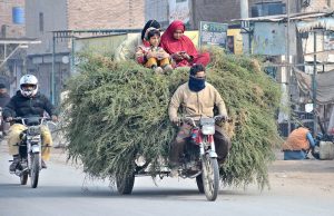 A woman uses her mobile phone while sitting with a child on tree branches loaded onto a tricycle rickshaw.