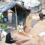 A gypsy family making baskets with dry tree branches outside their makeshift huts.