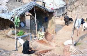 A gypsy family making baskets with dry tree branches outside their makeshift huts.