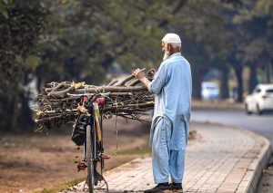 An elderly man ties a bundle of dry wood onto his bicycle after collecting it for domestic cooking and heating needs along Chak Shahzad Road in the federal capital.
