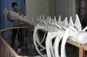 Muhammad Hassan, a 10th-grade student, creates Pakistan’s first scientifically accurate dinosaur skeleton, a 13-meter-long project supported by Khawzani Science Society.