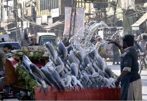 A butcher removes the skin of a goat after slaughtering it, preparing fresh meat for customers at his shop in the Banni area of the twin cities