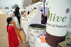 Visitors visits different stalls during the “7th National Olive Festival,” strengthening Pakistan–Italy cooperation at F-9 Park.