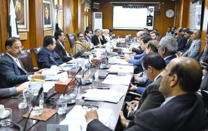 Chairperson Senate Standing Committee on Planning, Development and Special Initiatives, Senator Qurat-Ul-Ain Marri, chairs a meeting of the Senate body at Sindh Secretariat.