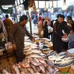 A vendor displaying fish to attract the customers at H-9 Weekly Bazaar in Federal Capital